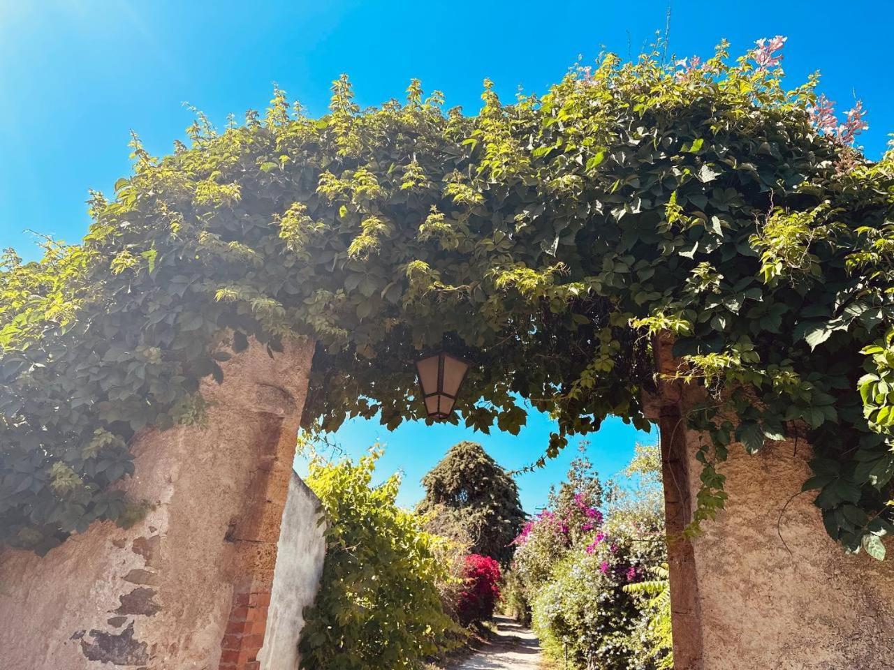 Villa Tiche Cefalù Buitenkant foto