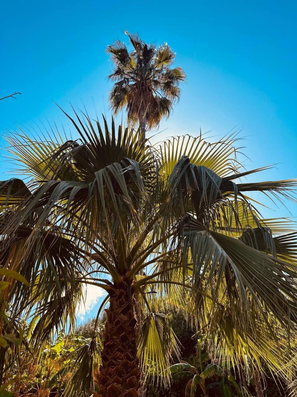 Villa Tiche Cefalù Buitenkant foto