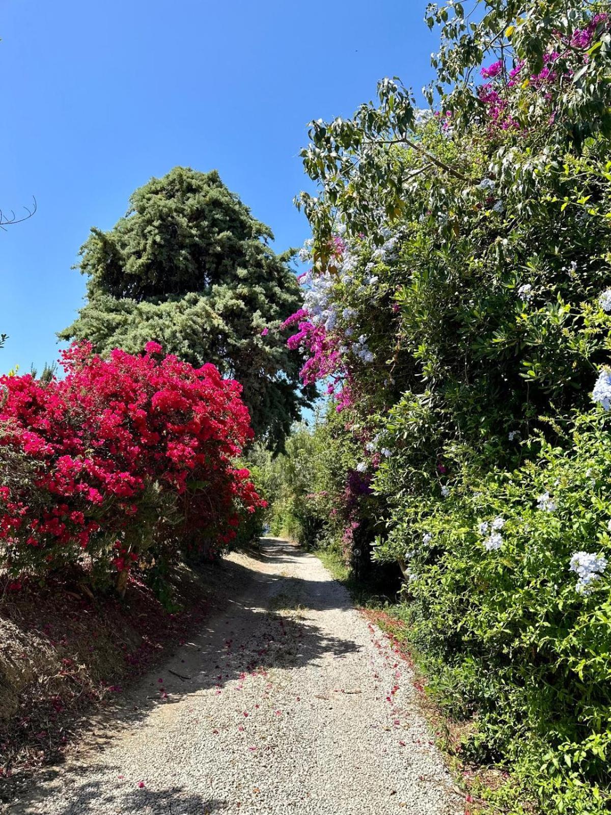 Villa Tiche Cefalù Buitenkant foto